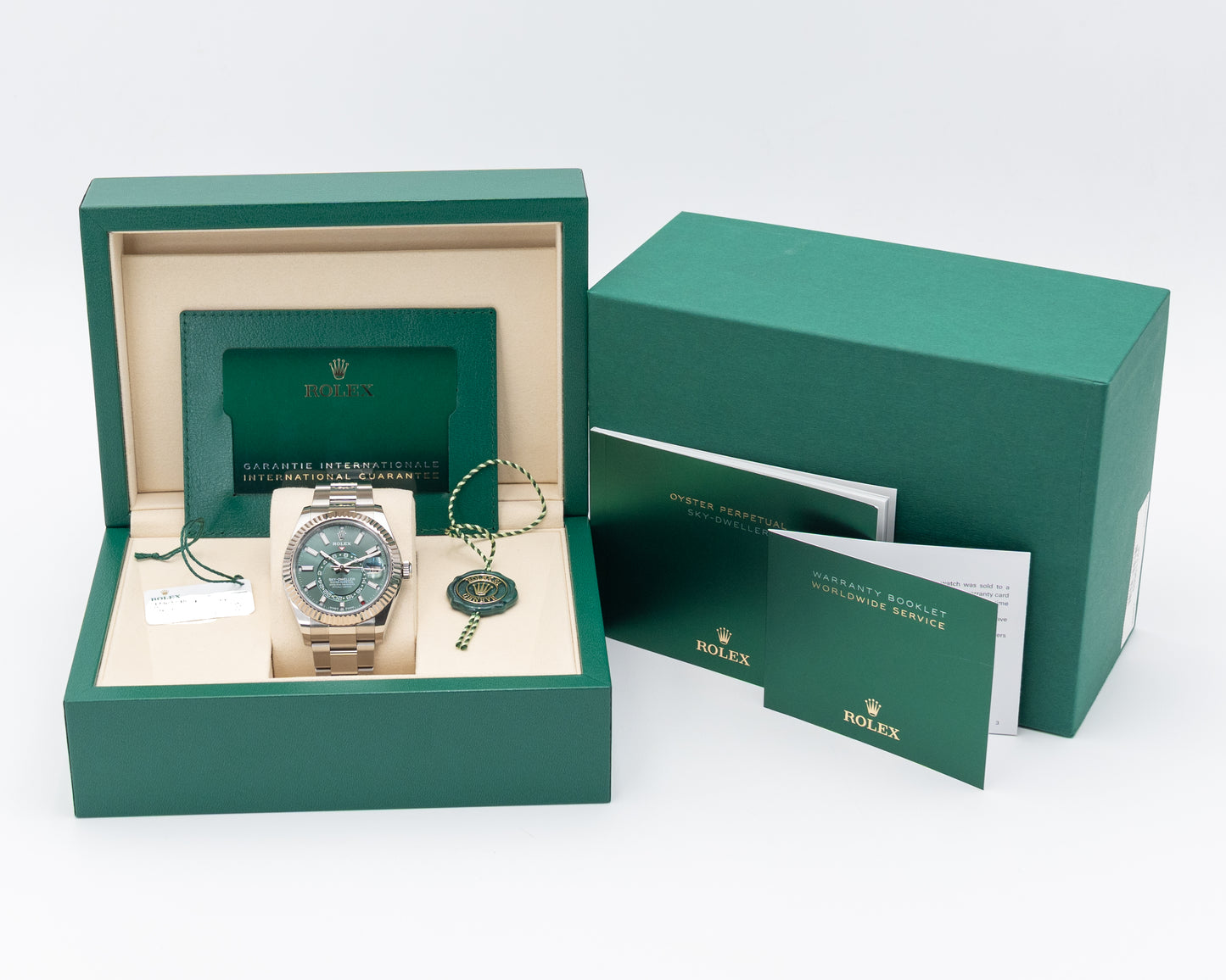 Rolex SkyDweller 42mm 336934 Mint Green Fluted Oyster 2025