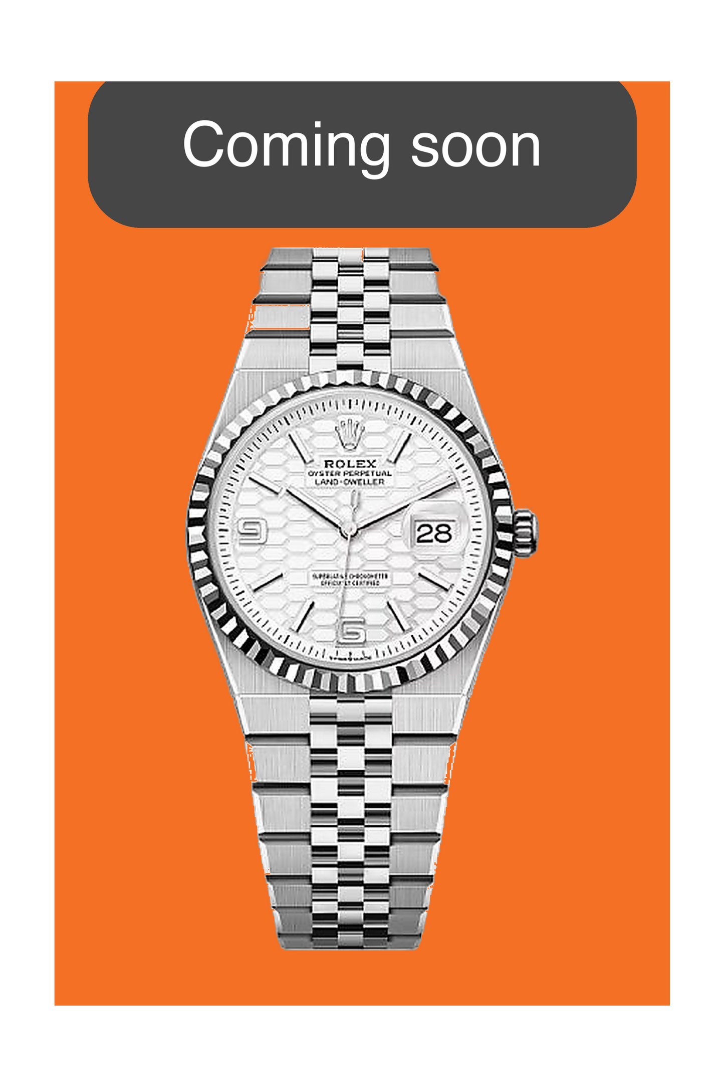 Rolex Land-Dweller 36mm 127234 White Dial 2026