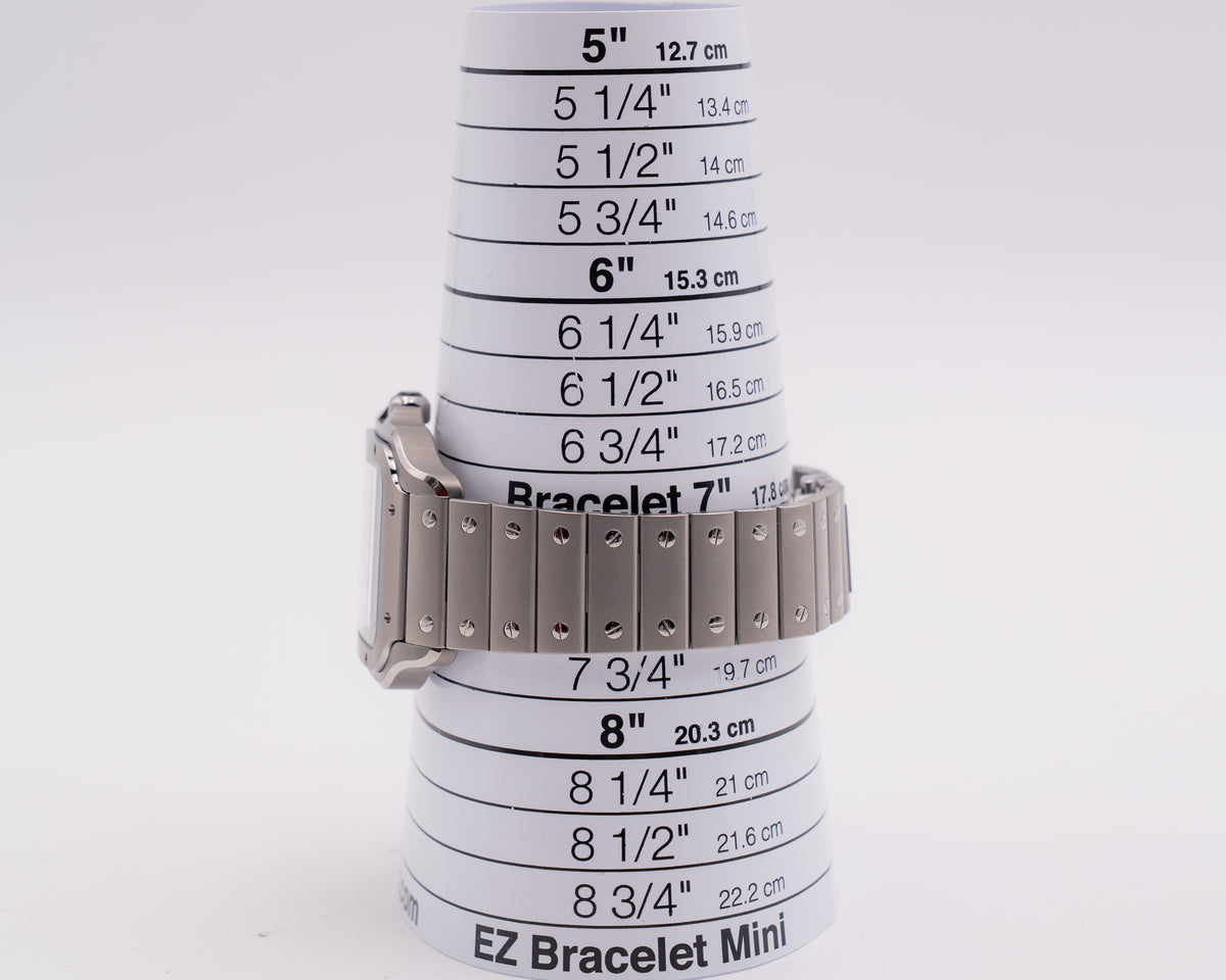 Santos de Cartier Large 39.8mm WSSA0089 Titanium 2026