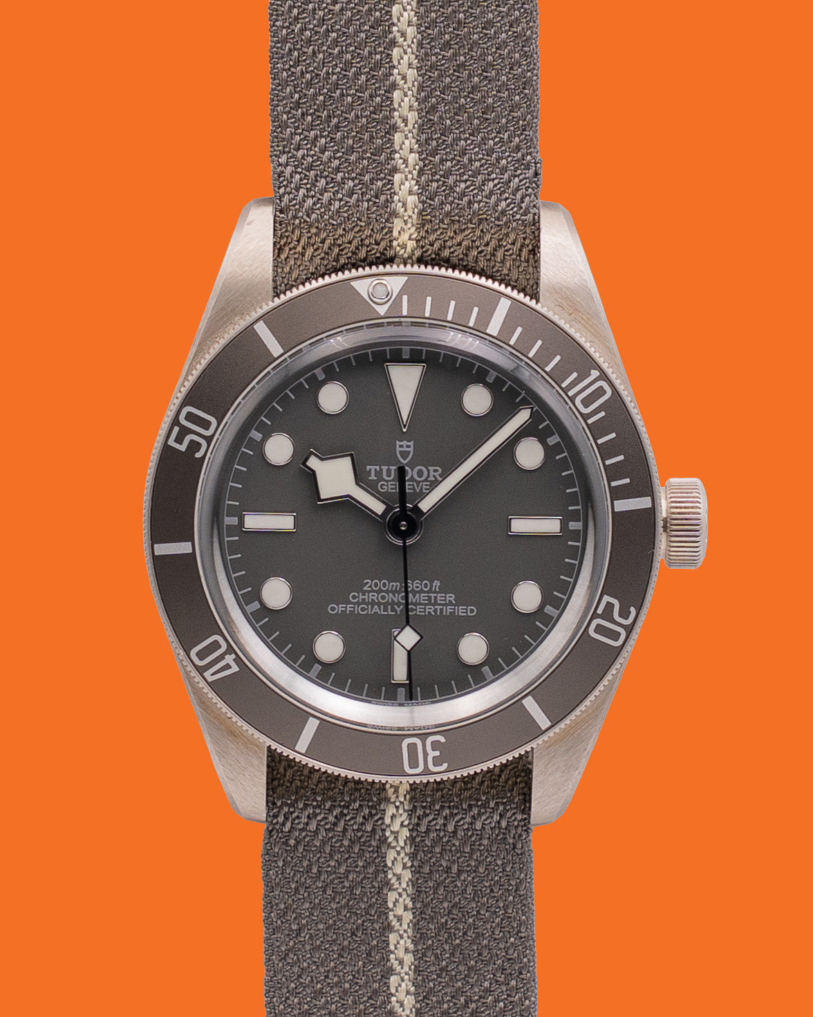 UNWORN Tudor Black Bay Fifty-Eight 925 39mm M79010SG Silver