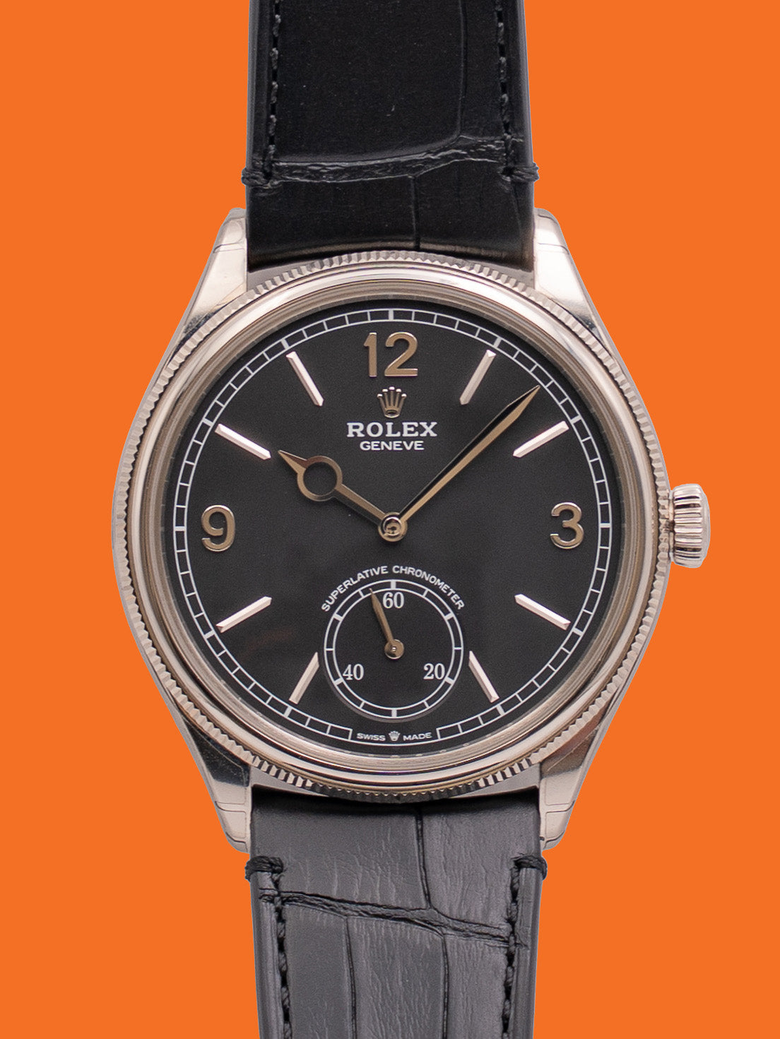 Rolex Cellini 39mm 50529 Dual Time White Gold  Black Dial Alligator Strap 2025