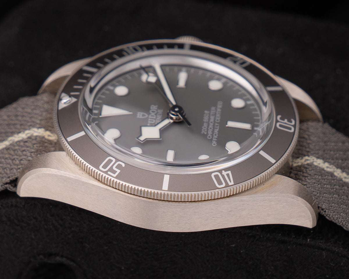 UNWORN Tudor Black Bay Fifty-Eight 925 39mm M79010SG Silver