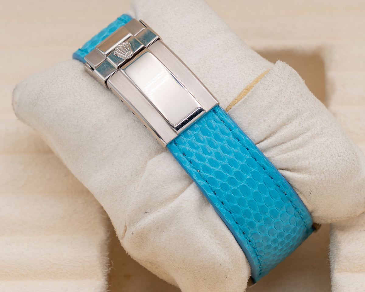 Rolex Daytona 40mm 116519 Beach Turquoise Dial On Blue Lizard  Strap 2001