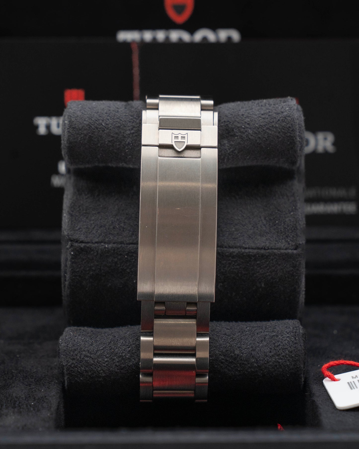 Tudor Pelagos 39mm 25407N Titanium