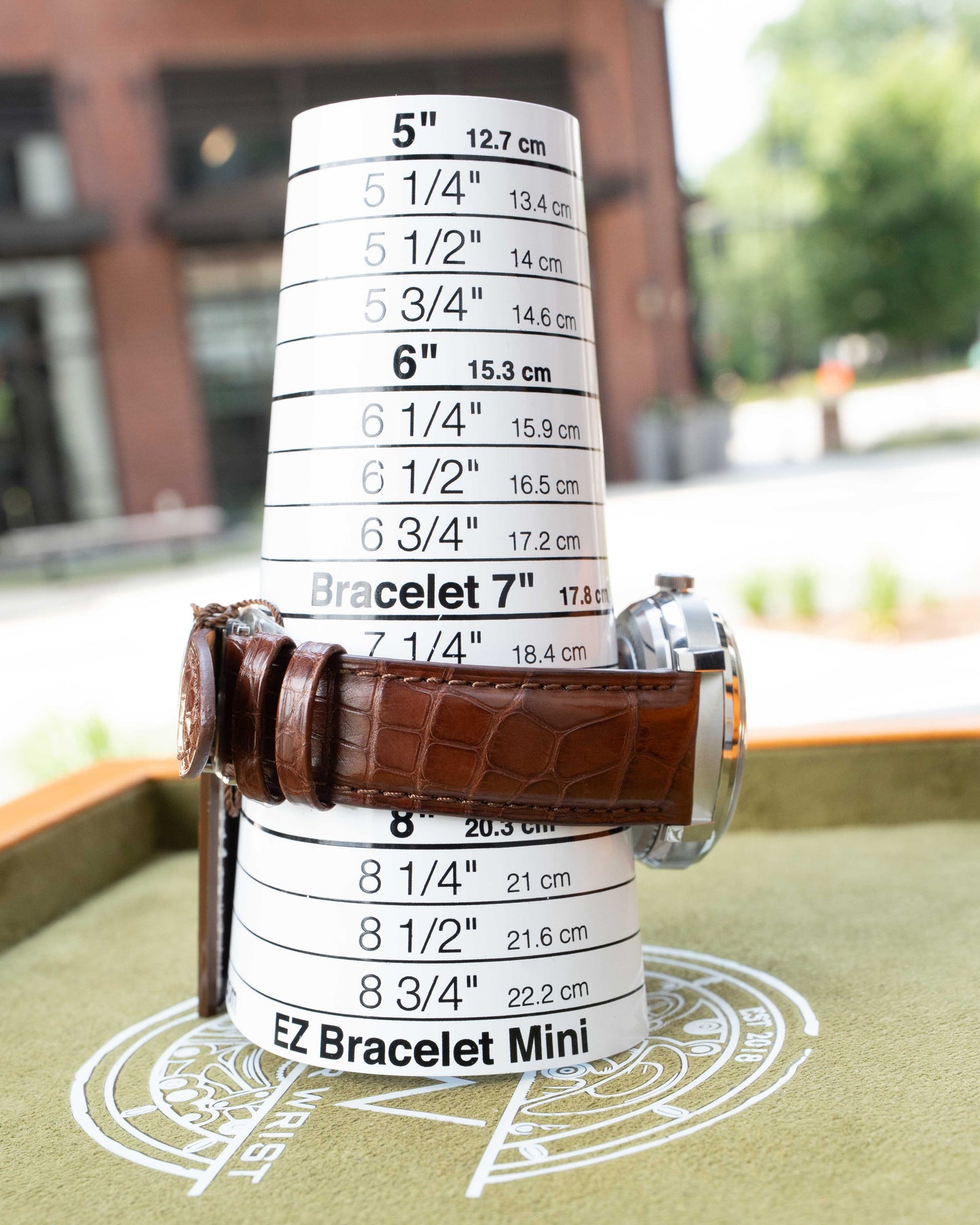 UNWORN Accutron Spaceview 2020 x La Palina Cigars 43.5mm 2ES6A007 Brown and Green Electrostatic [$5,250 RETAIL]
