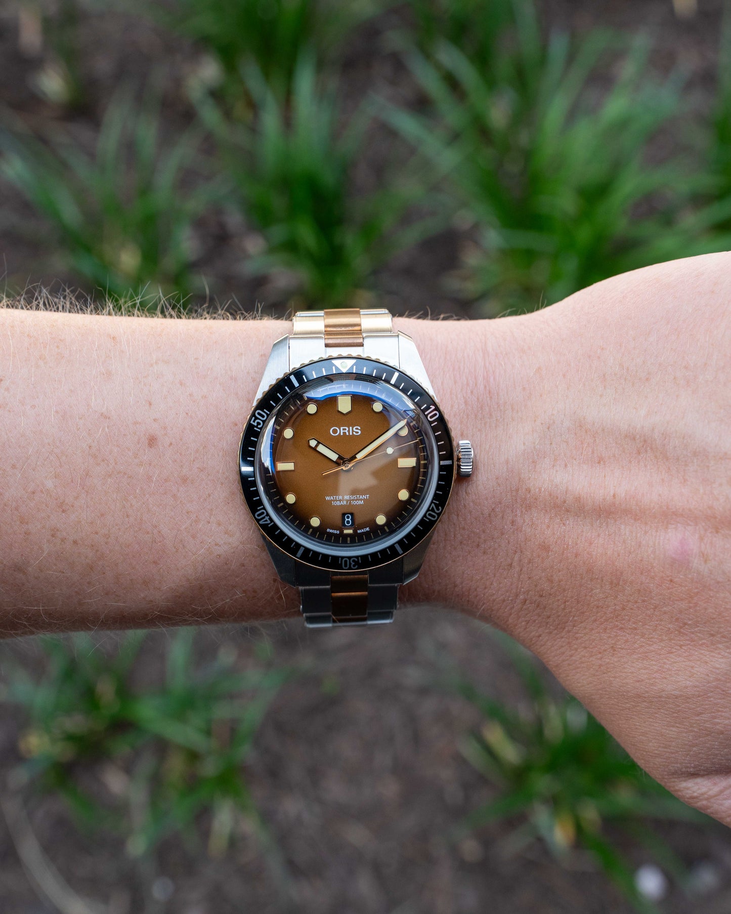UNWORN Oris Divers Sixty Five 40mm 01 733 7707 4356 Sunset Brown Two Tone Bronze On Bracelet