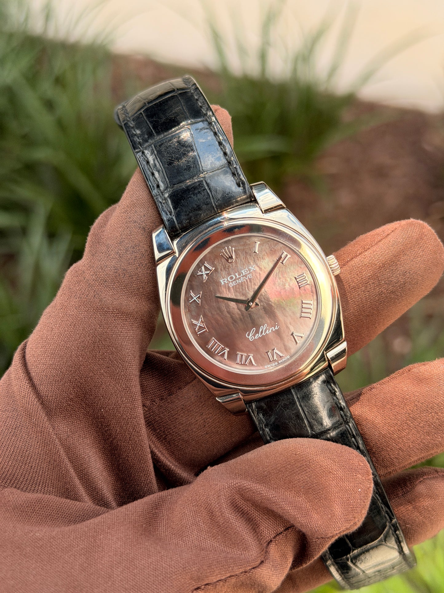 Rolex Cellini 36mm 5330 White Gold MOP Dial