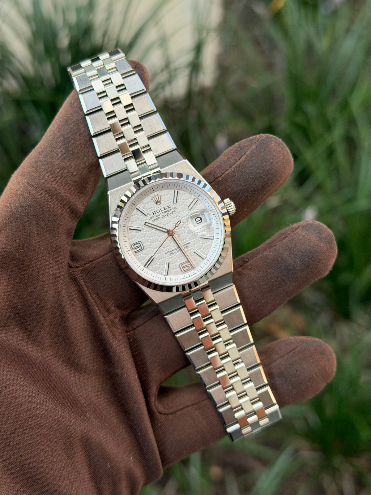 Unworn Rolex Land-Dweller 36mm 127234 2026