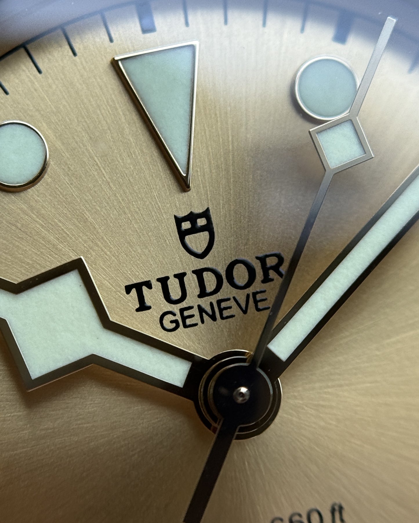 Tudor Black Bay S&G 41mm 79733N Champagne Dial Two Tone 2021