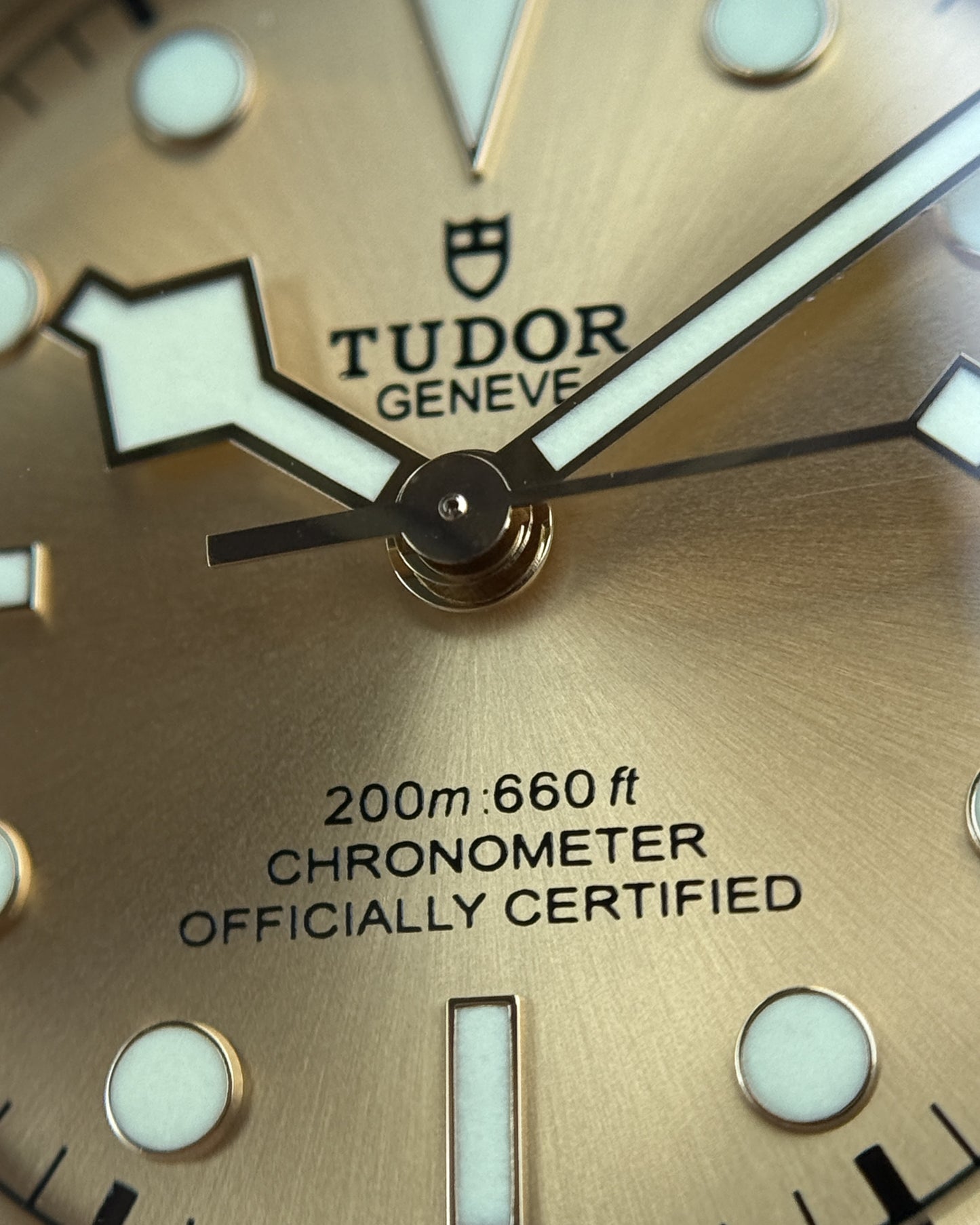 Tudor Black Bay S&G 41mm 79733N Champagne Dial Two Tone 2021