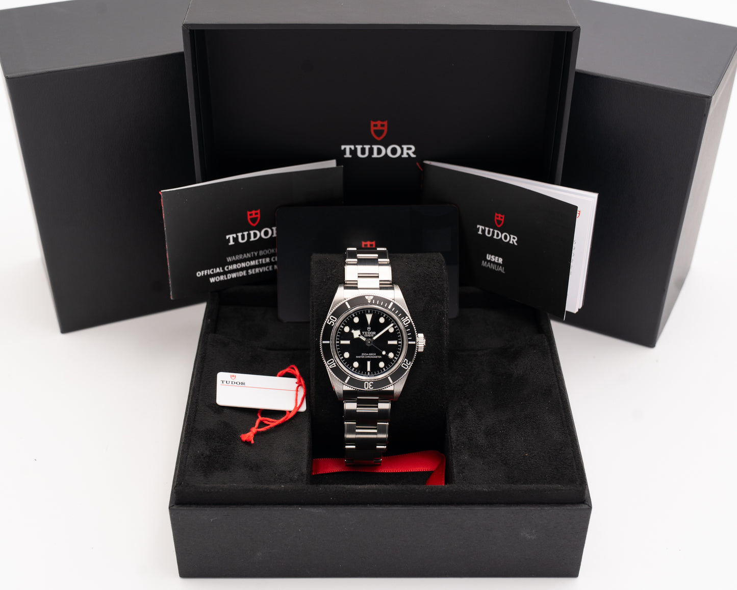 Tudor Black Bay Master Chronometer 41mm 7941A1A0NU 2025